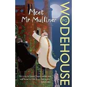 Meet Mr Mulliner