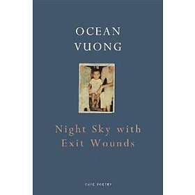 Night Sky with Exit Wounds