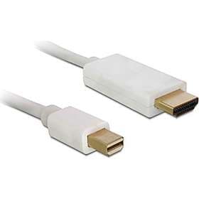 DeLock HDMI - DisplayPort Mini 1m