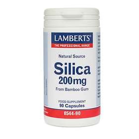 Lamberts Silica 200mg 90 Capsules