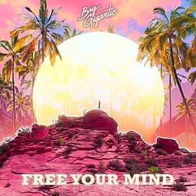 Big Gigantic: Free Your Mind CD