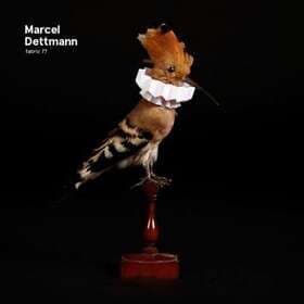 Dettmann Marcel: Fabric 77