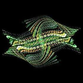 Bogus Order: Zen Brakes Vol 2 CD