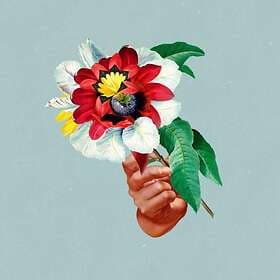 Maribou State: Kingdoms In Colour (Vinyl)