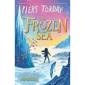 Frozen Sea The