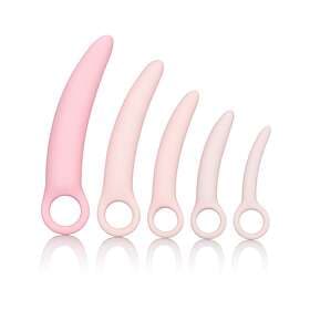 CalExotics Inspire Silicone Dilator 5-pack