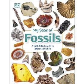My Book Of Fossils