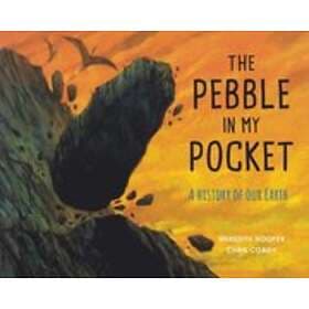 The Pebble In My Pocket