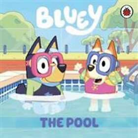 Bluey: The Pool