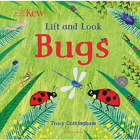 Kew: Lift And Look Bugs