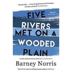 Five Rivers Met On A Wooded Plain