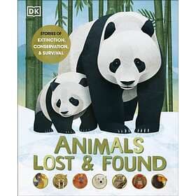 Animals Lost And Found