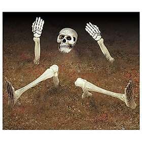 Halloween Decoration Skeleton 18-32cm
