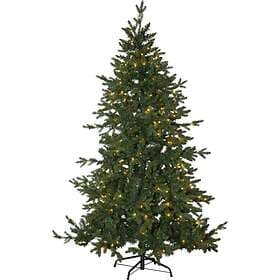 Star Trading Larvik 180cm 270 LEDs