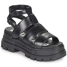 Buffalo Aspha Gld (Women's)