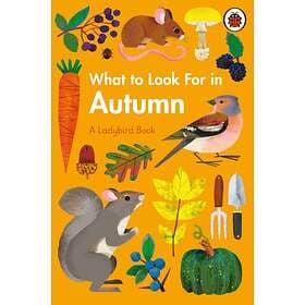 What To Look For In Autumn
