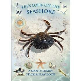 Let's Look On The Seashore