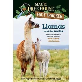 Llamas And The Andes