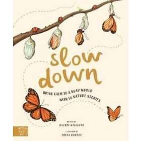 Slow Down