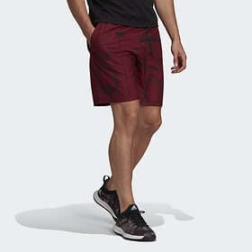 Adidas Club Graphic Tennis Shorts (Men's)