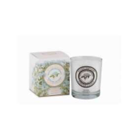 Panier des Sens Firming Sea Fennel Scented Candle