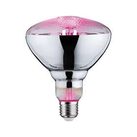 Paulmann Växtlampa PAR38 E27 6.5W