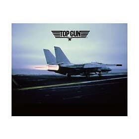 Revell F-14A Tomcat Top Gun 1:48