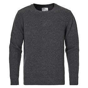 Colorful Standard Classic Merino Wool Crew (Men's)
