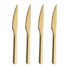 Aida Raw Stekkniv 4-pack