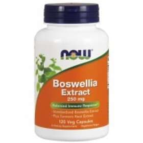 Now Foods Boswellia Extract Plus Turmeric Root Extract 250mg 120 Capsules