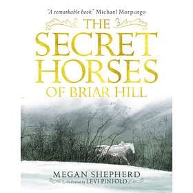 Megan Shepherd The Secret Horses of Briar Hill av