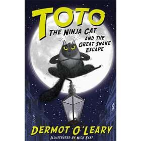 Dermot O'Leary Toto the Ninja Cat and Great Snake Escape av