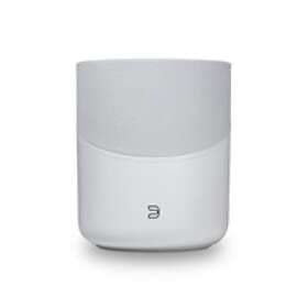 Bluesound Pulse M