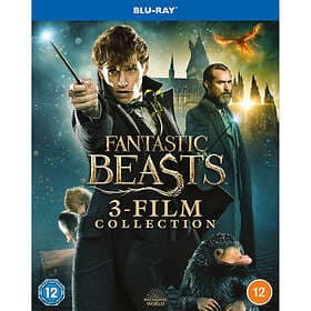 Fantastic Beasts Collection (3 s) (Blu-ray)