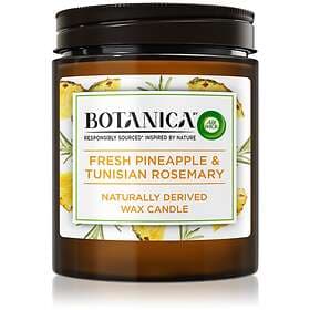 Air Wick Botanica Fresh Pineapple & Tunisian Rosemary Scented Candle 205g
