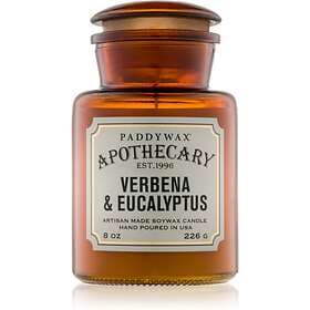 Paddywax Apothecary Verbena & Eucalyptus Scented Candle 226g