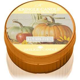 Kringle Candle Gourdgeous Tealights 42g