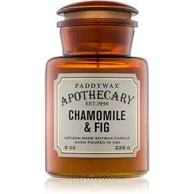 Paddywax Apothecary Chamomile & Fig Scented Candle 226g
