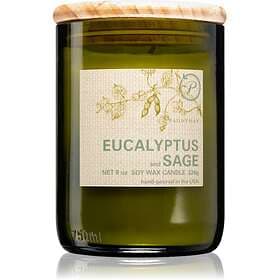 Paddywax Eco Green Eucalyptus & Sage Scented Candle 226g