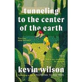 Tunneling To The Center Of The Earth