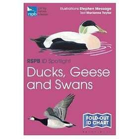 RSPB ID Spotlight Ducks, Geese and Swans
