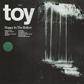 Toy Happy In The Hollow LP