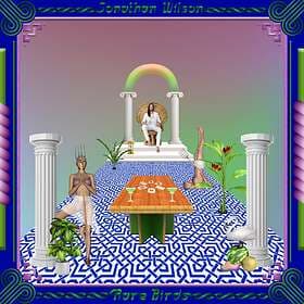 Jonathan Rare Birds LP