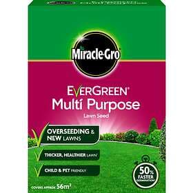 MiracleGro Evergreen Multi Purpose Lawn Seed 56m2