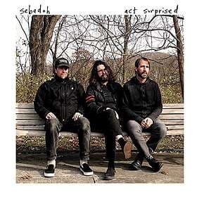 Sebadoh Act Surprised CD