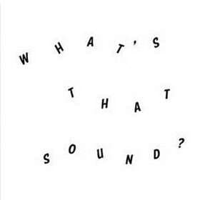 Daniel Woolhouse What's That Sound LP