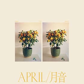 Emmy The Great April LP
