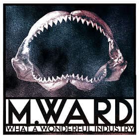 M. Ward What A Wonderful Industry Limited Edition LP