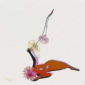 Future Islands The Far Field LP