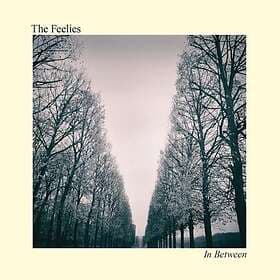 The Feelies In Between LP